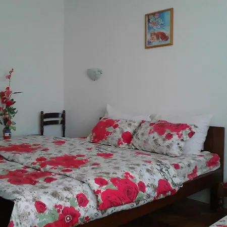 House Nativa 3*